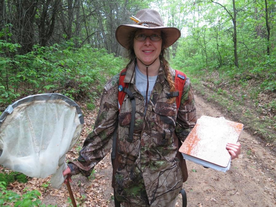 Elaine Evans is studying bee populations at Uncas Dunes Scientific and Natural Area near Elk River, Minnesota, one of few places where there are historical records of bees. She says that while honeybees are not in danger of extinction, some wild bees are.