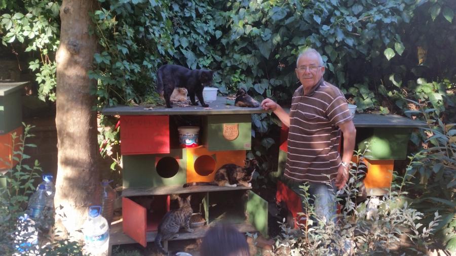Veysel poses next to little cat houses provided by the municipality government in Cat Park.