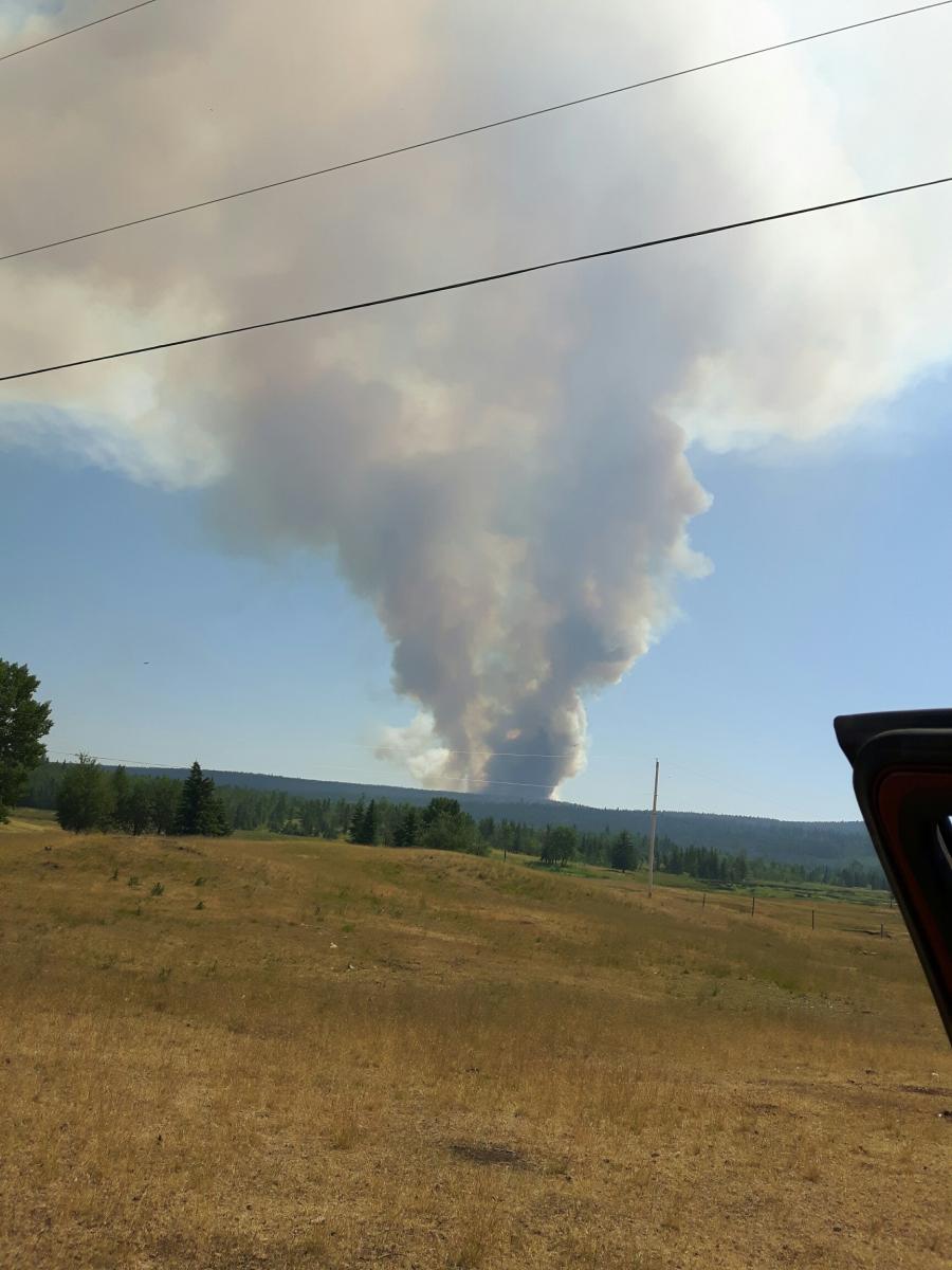 On July 6, Lynn Landry could see a column of smoke in the distance from a nearby forest fire. The fire advanced until it consumed the ridge near her house and she had to evacuate.
