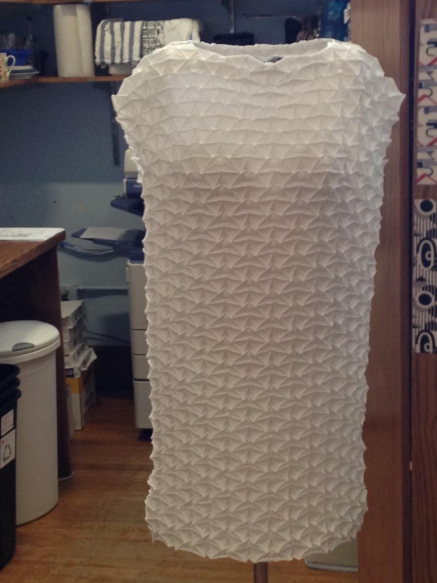 A 3-D printed dress