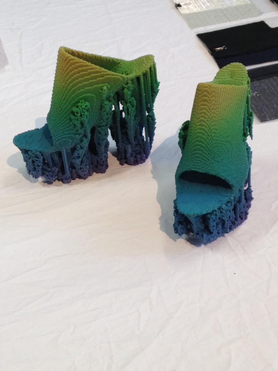A 3-D printed shoe.