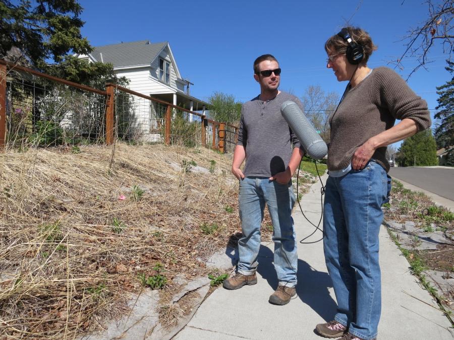 Dan Schutte dug up his lawn in Duluth, Minnesota and put in native plants. He tells producer Catherine Winter that while it looks scraggly in early spring, when it’s blooming it’s a haven for bees and butterflies, and that he idea is starting to cathc on 