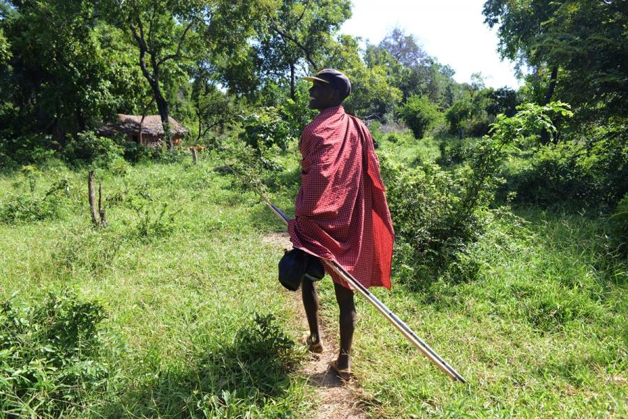 Salumu Kundaya Kidomwita, 60, saunters down a trail to his wife Malinja’s hut on his way back from market day in nearby Nambogo, where multiple tribes meet to sell everything from livestock to maize and cloth. Kiodomwita says he has a lot on his mind, but
