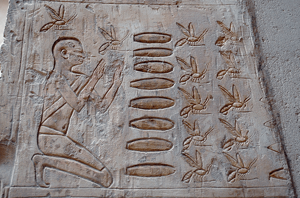 Egyptian beekeeping relief