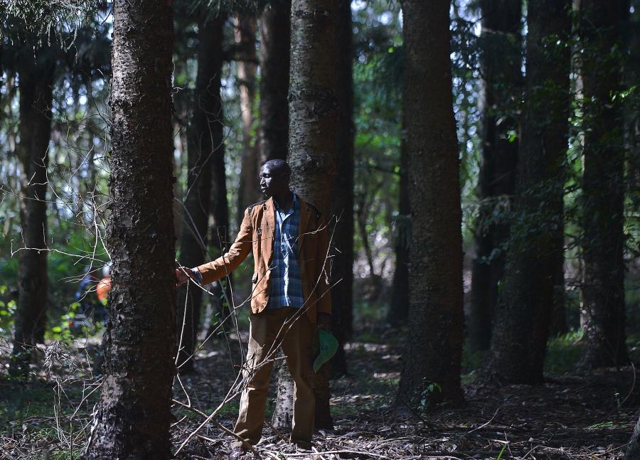 Elias Maiyo, a member of the marginalised Sengwer community indigenous to Embobut forest, one of thirteen forest reserve blocks located in the Cherangani Hills on the western ridge of the East African Rift.
