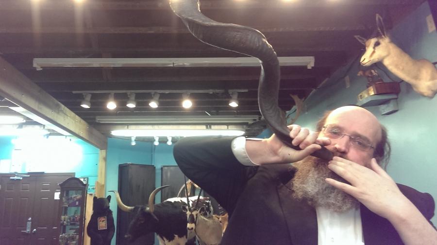 Rabbi Shaul Shimon Deutsch demonstrates how hard it is to get a sound out of this 200-year-old curled shofar, originally from the Jewish community in Amsterdam. More modern shofars are typically boiled and straightened.