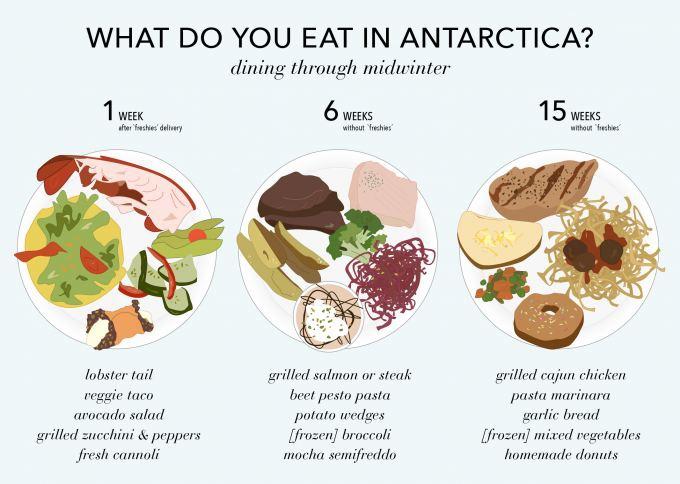 What do you eat in Antarctica graphic