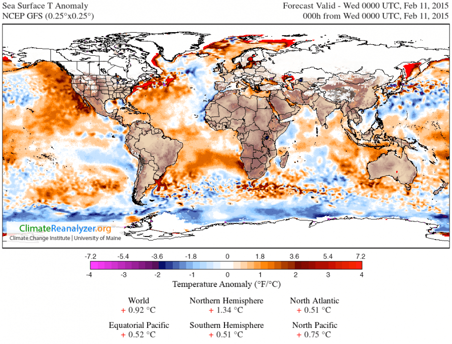 Sea surface temperatures off the northeastern US and eastern Canada are far higher than average this winter, which adds lots of moisture to the atmosphere. When that moist air meets cold air coming from the north, the result can be a lot of snow.
