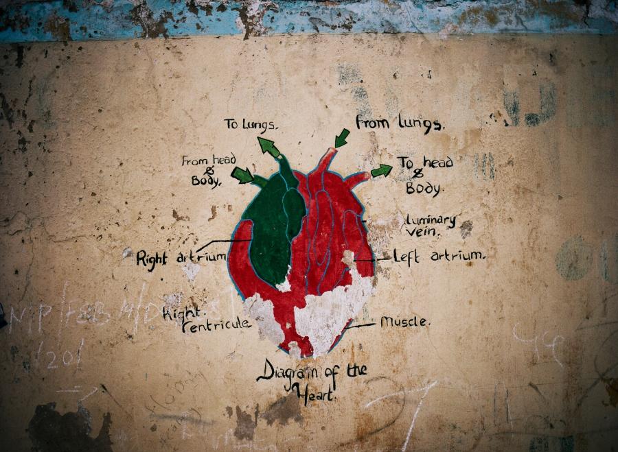 A diagram of a heart on the walls of a school in Kano.