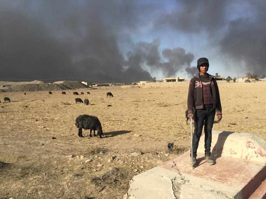 Teen shepherd with blackened sheep in Qayyarah, Iraq
