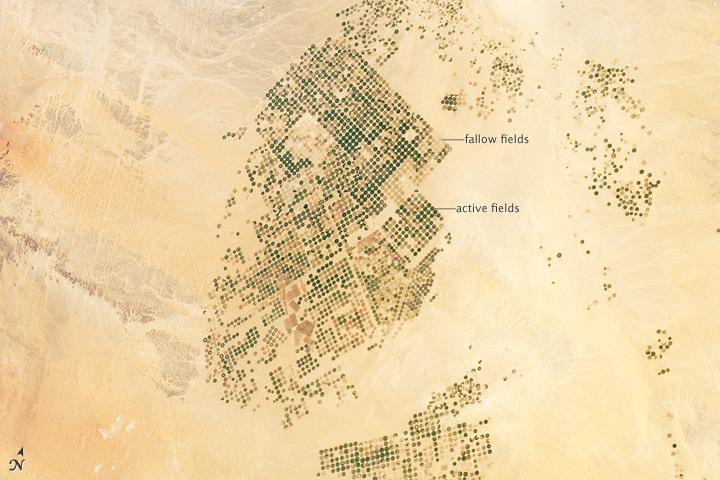 By the time astronauts aboard the International Space Station took this photo in 2012, Saudi Arabia had begun fallowing its fields.