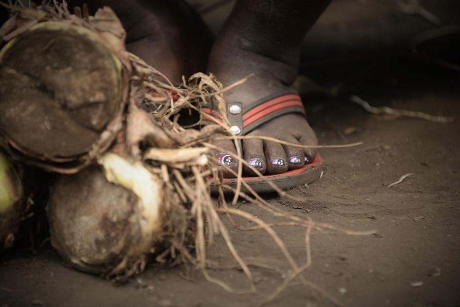 Munguahilo Kakomire gathered these roots that she'll boil and eat.