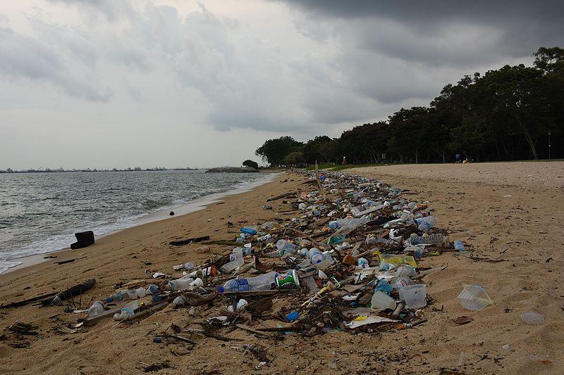 Plastic waste pollution on a Singapore beach, April 2015.