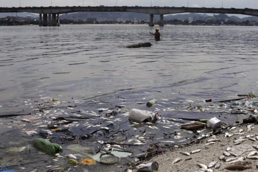 Dead fish lie on the shore of Guanabara Bay in Rio de Janeiro in January, not far from a Summer Olympics venue.