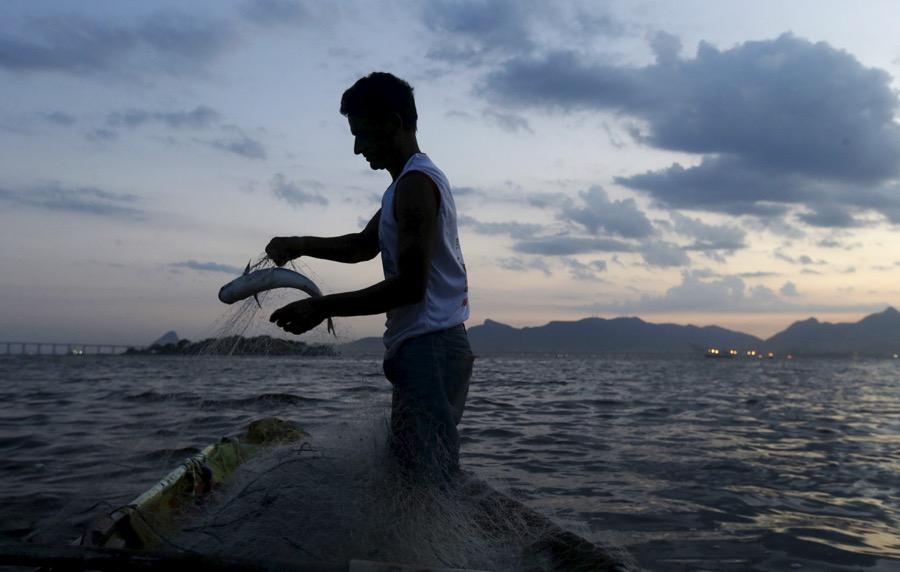 A man holds a fish caught in his net in Guanabara Bay on Jan. 8, 2016.