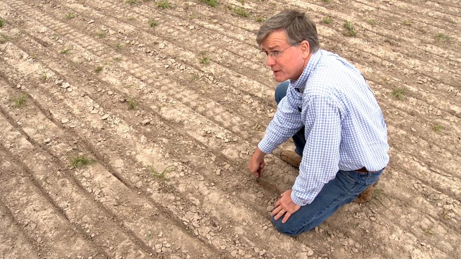 Drought has forced Texas rice famer Ronald Gertson to drill wells to get enough water to plant his crops. The irrigation canals that normally feed his farm are dry.