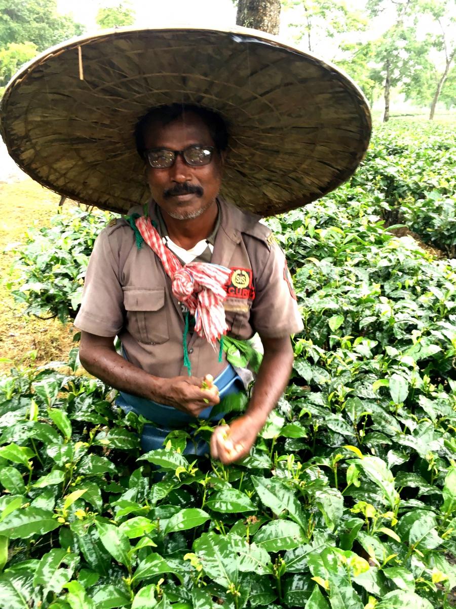 Tea worker with new glasses