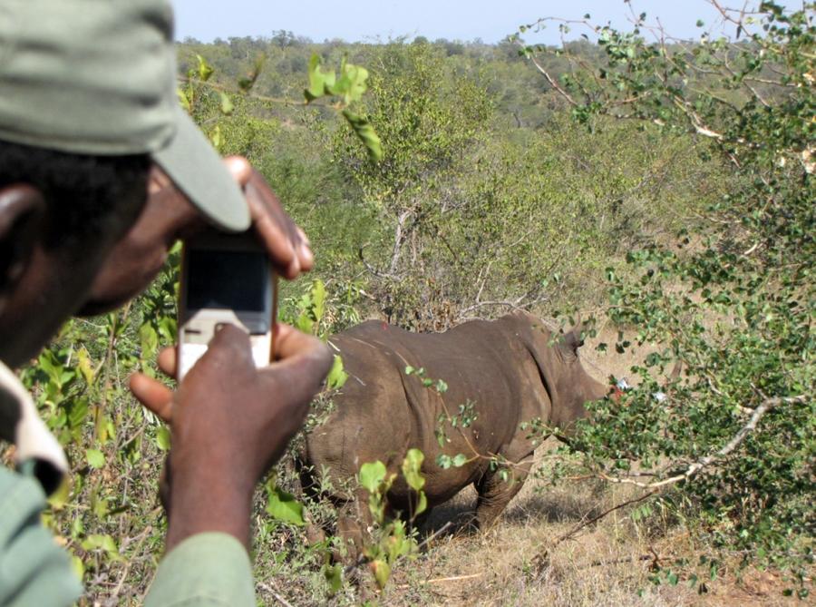 A local takes a photo of Rhino after it has been treated by Rhino Rescue. 