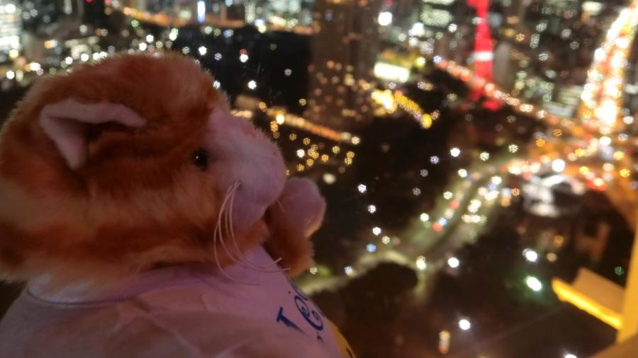 Meggy Weggy at the Tokyo Tower gets a stunning view of the city by night.