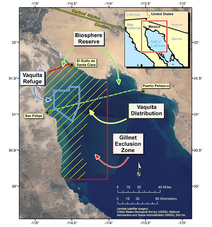 This map from the US National Oceanic and Atmospheric Administration (NOAA) of the northern Gulf of California shows vaquita habitat, a vaquita refuge, and the gillnet fishing exclusion zone.