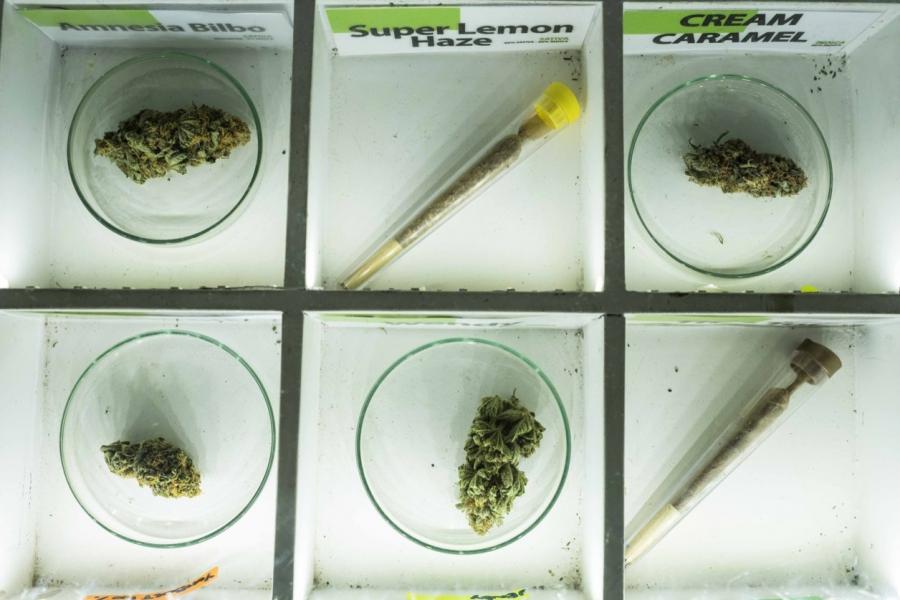 Barcelona's clubs have a menu of cannabis products for members to choose from.
