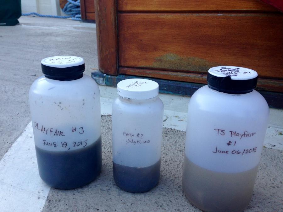 Water samples from Lake Ontario, Canada.