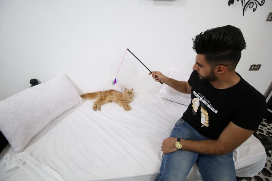 A veterinary medicine student plays with a cat in a cat hotel in Basra, Iraq, March 13, 2018.