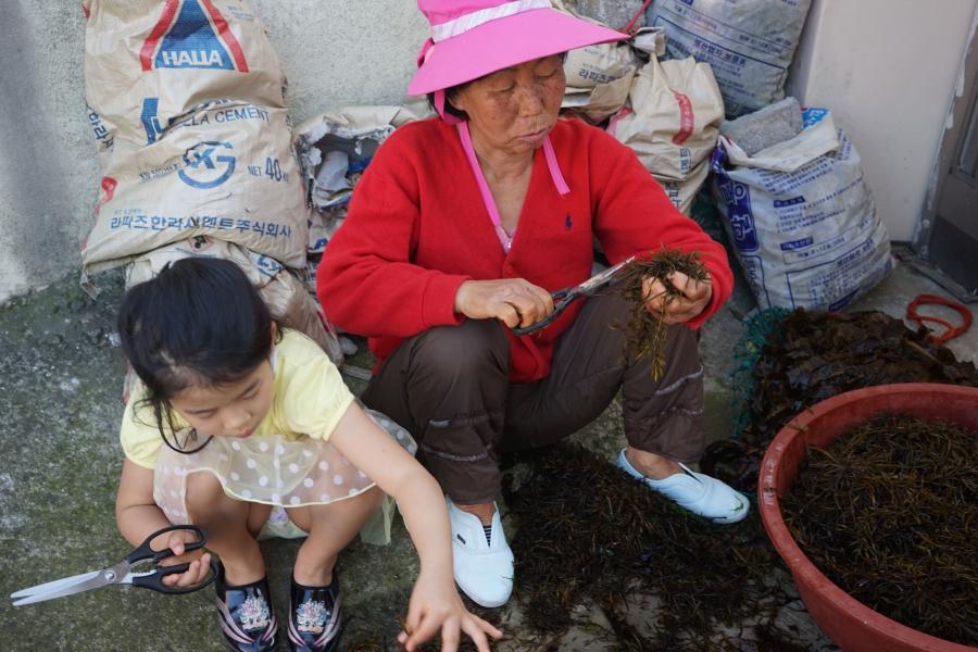 Kyung Ja Hong with her 8-year-old granddaughter, snipping seaweed from the day's catch.