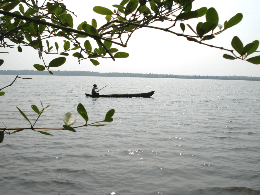 A fisherman passes by the mangroves on Kerala’s shore.