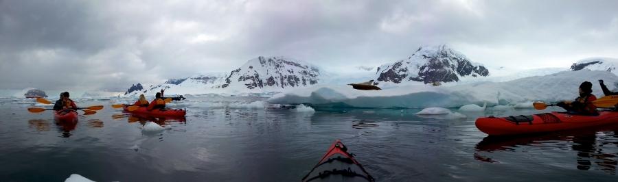 Tourists kayak in ice-choked waters off Antarctica.