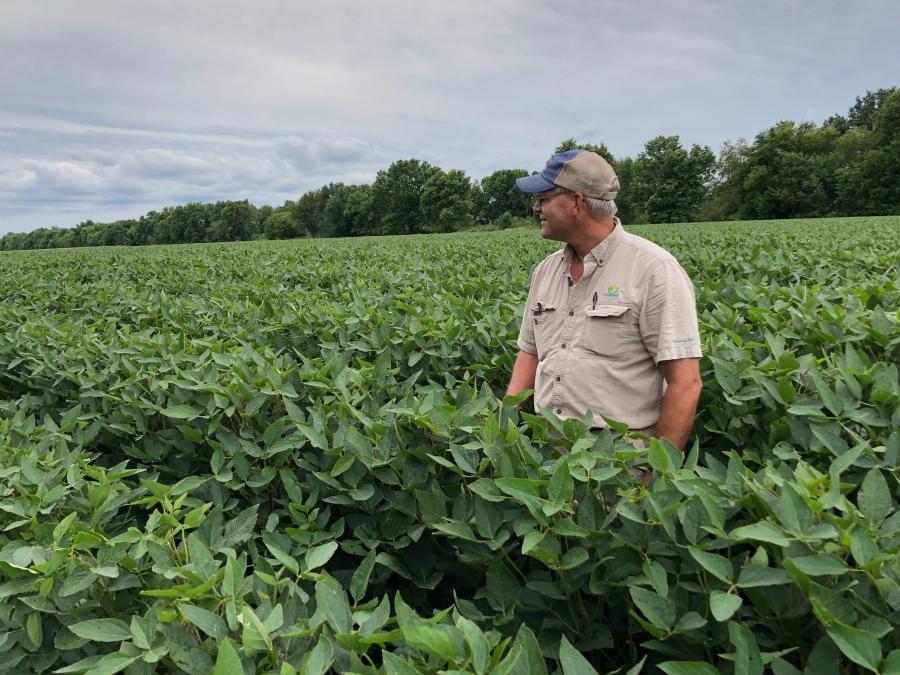 Illinois farmer Mark Reichert stands in his soybean fields. Reichert worries about the long-term impacts of Chinese tariffs, that it could be hard to get Chinese customers back.  