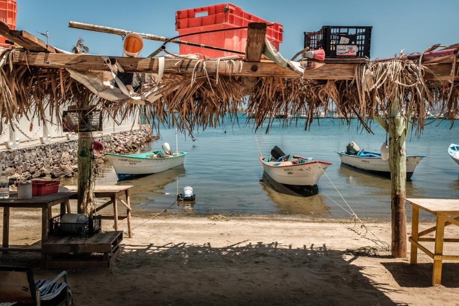 fishing boats in a harbor in mexico