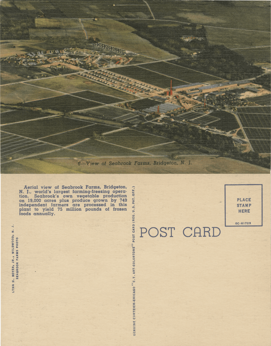 Two sides of a postcard, one showing the farm and the other with some text and space for a note from the sender
