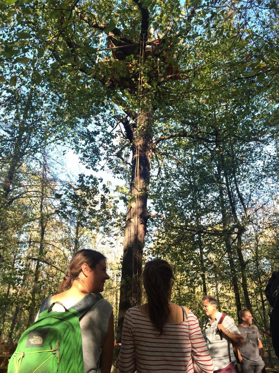 After a recent court ruling blocking further cutting in the Hambacher forest, protesters built new tree houses to resume their occupation of the forest.