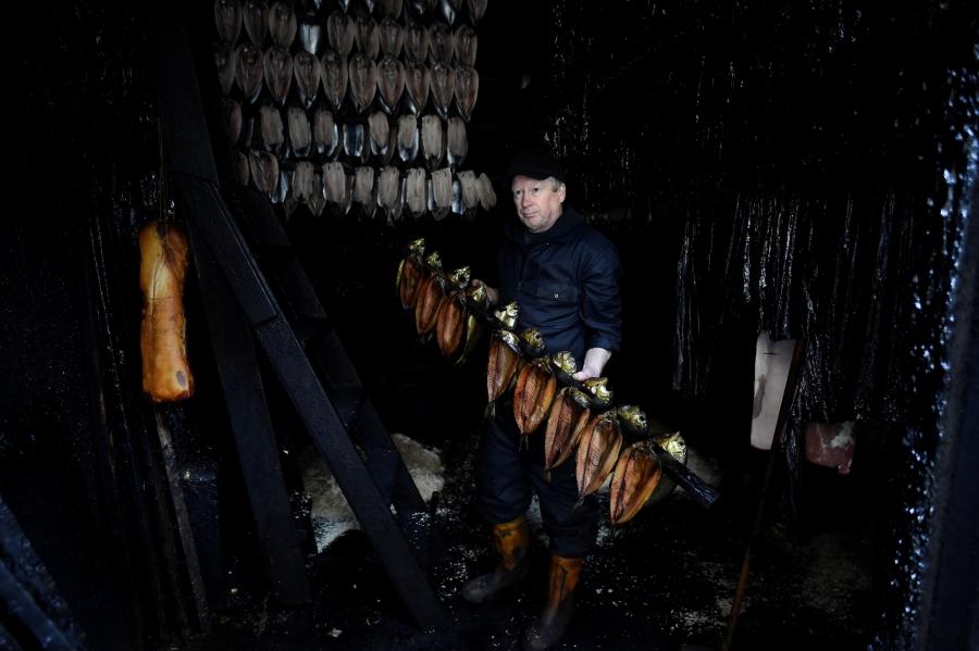 A man is shown standing in the middle of kipper herring hung on lines while being smoked.