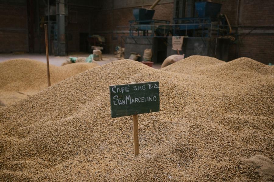 Mounts of sandy-colored coffee beans are show with a green sign in the middle.