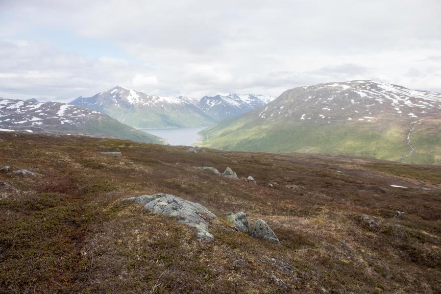 The desolate mountains of northern Norway have supported countless generations of Sámi reindeer herders. Climate change is making that more difficult, and now plans for wind power development in the area could further jeopardize the livelihoods of some Sa
