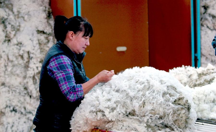 A woman in a vest and flannel shirt sorts sheep wool.
