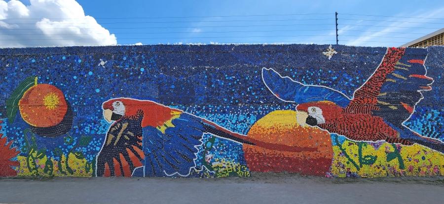 colorful bottle cap fresco of a macaw bird and oranges