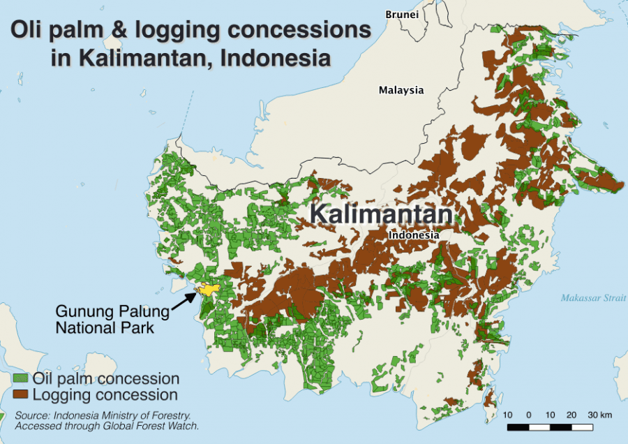 Kalimantan oil palm and logging concessions map