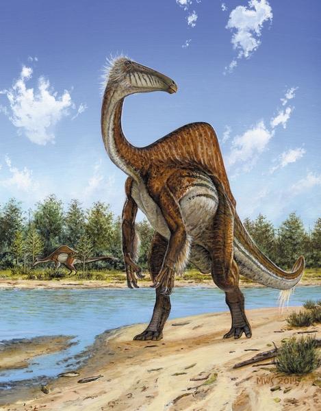 Two new, almost complete skeletons of Deinocheirus mirificus, have revealed the dinosaur's unusual combination of features. 