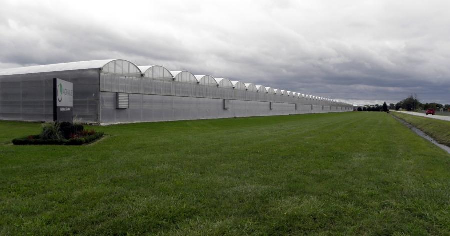 Hydroponic greenhouses that grow winter veggies like tomatoes and peppers for North American consumers now cover nearly 3-thousand acres in southern Ontario, and are a major source of the nutrient pollution that contributes to the formation of green slime