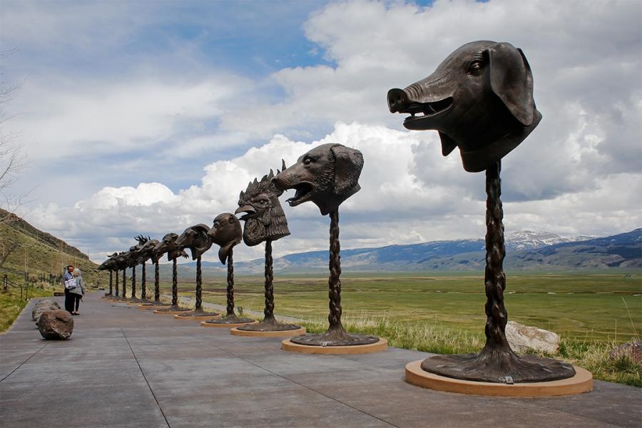 Ai Weiwei's Zodiac heads stand ten feet tall and weigh around 800 pounds. They are cast in bronze and are displayed outside at the National Museum of Wildlife Art in Jackson, Wyoming.