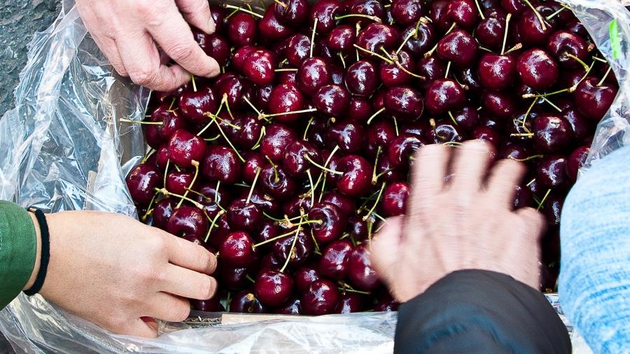 Shoppers at a Chinese market inspect the imported Chilean cherries