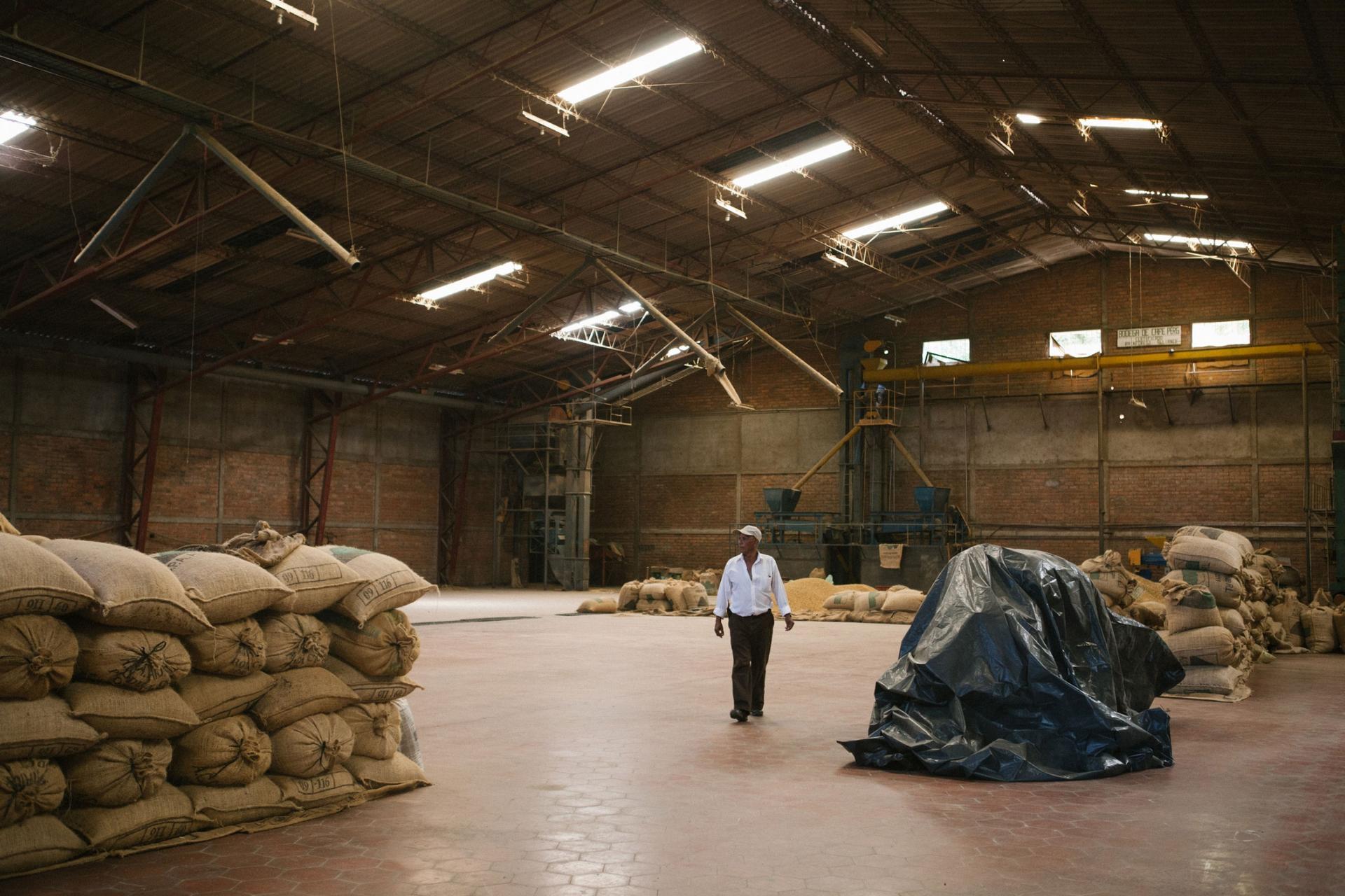 A man wearing a white shirt is shown walking through a large warehouse with large bags of coffee stacked.