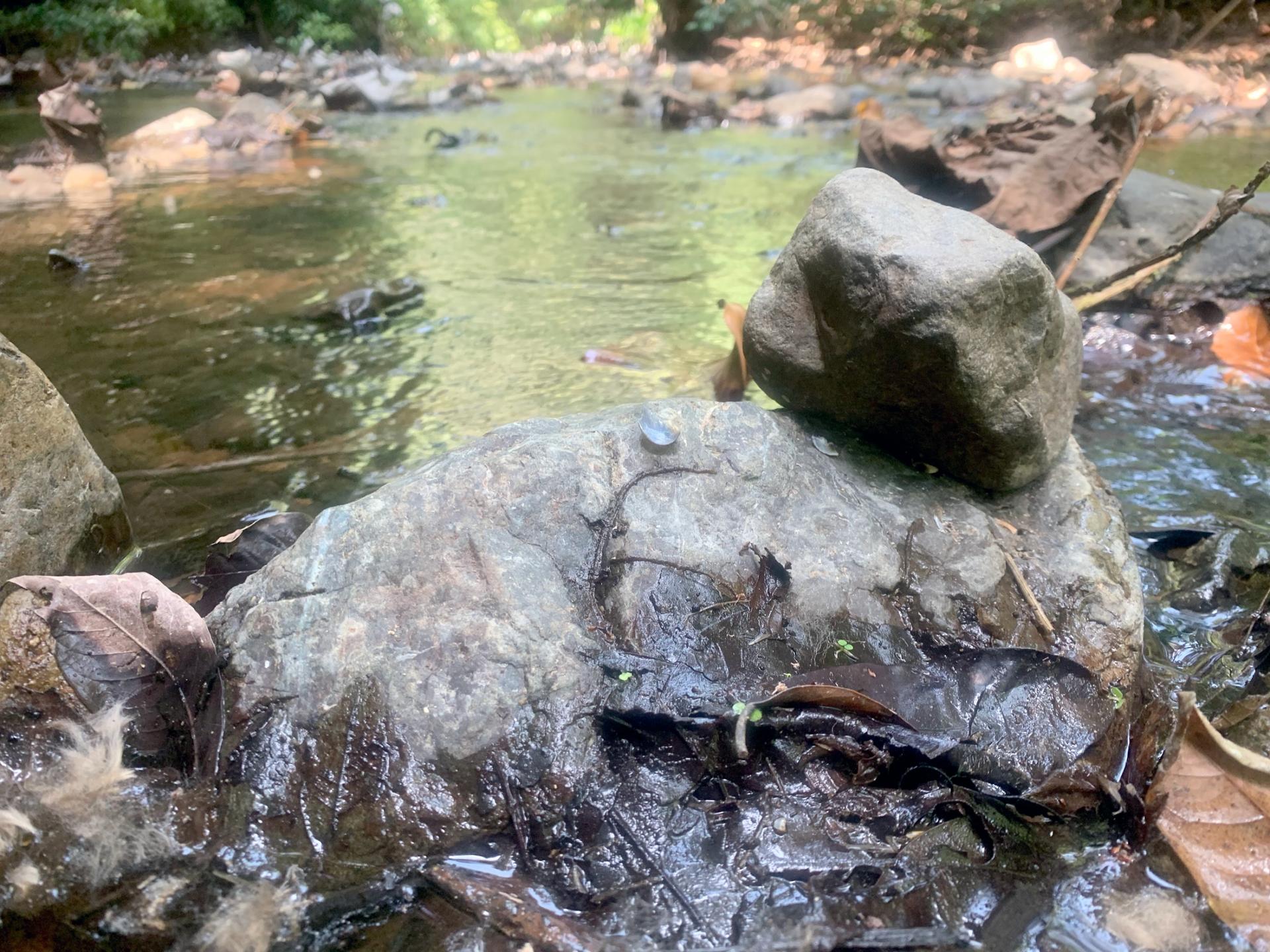 A smaller stone sits atop a larger one in a river. 