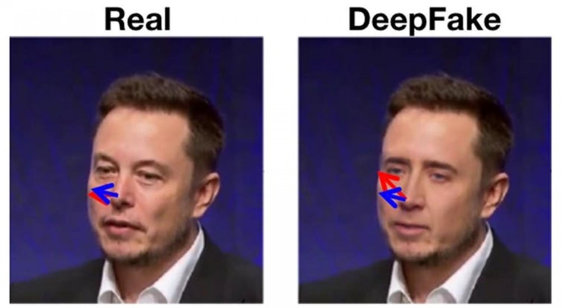 Nic Cage's head on Elon Musk's body