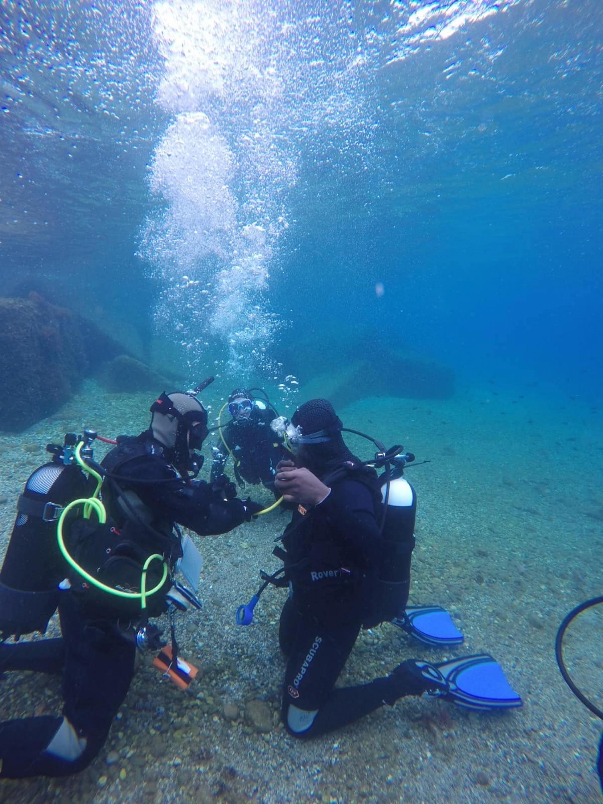 two people underwater in scuba gear. 