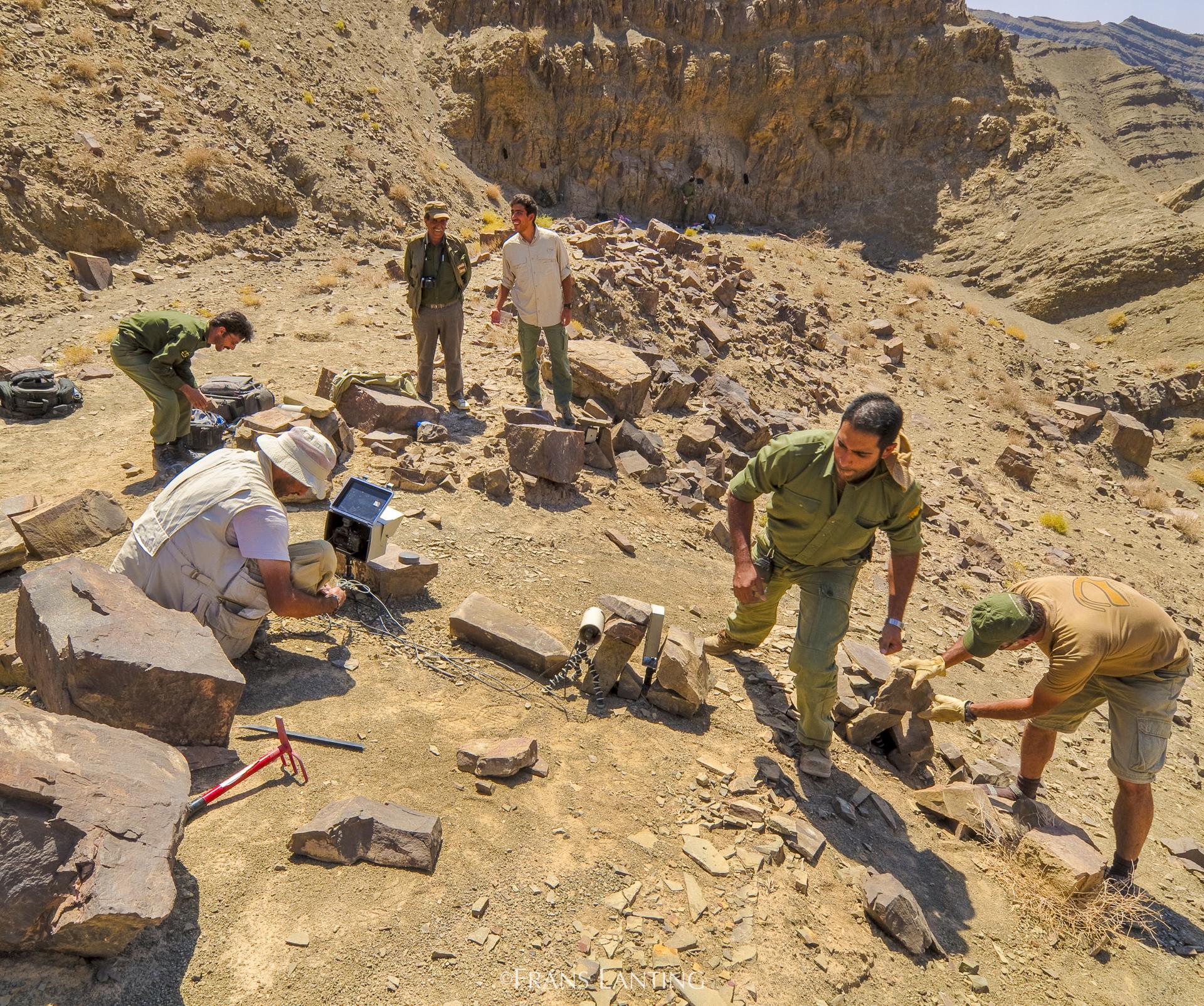 A team of conservationists with the Persian Wildlife Heritage Foundation is at work on a site in Iran.