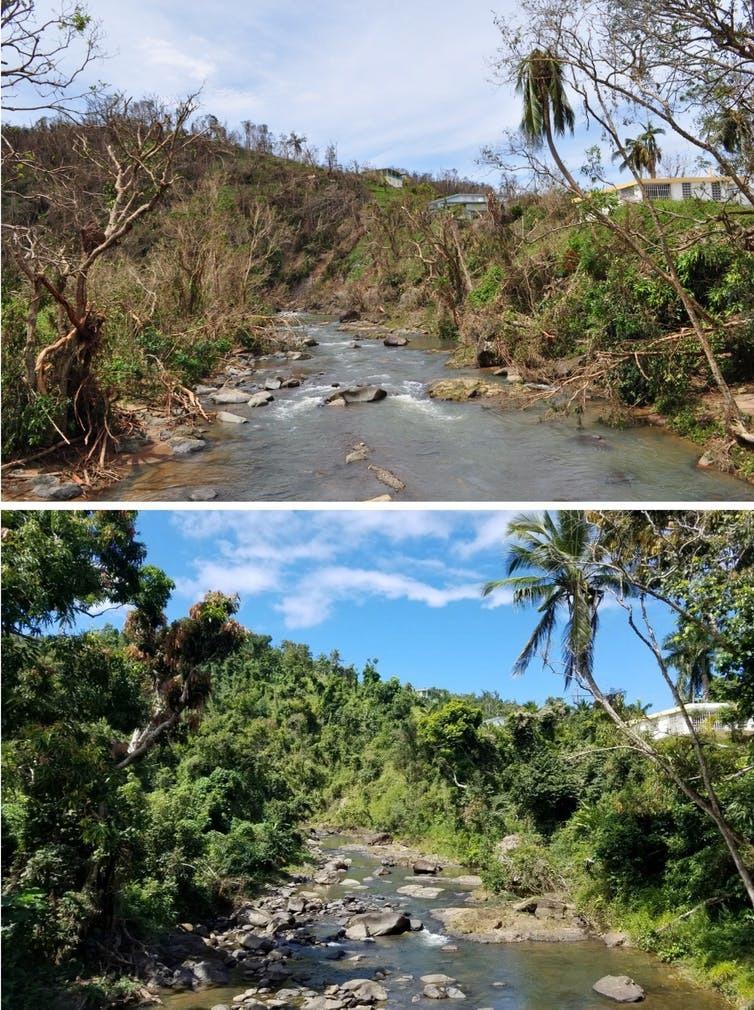 A river in the countryside of Puerto Rico, one photo with lots of water and one with little. 